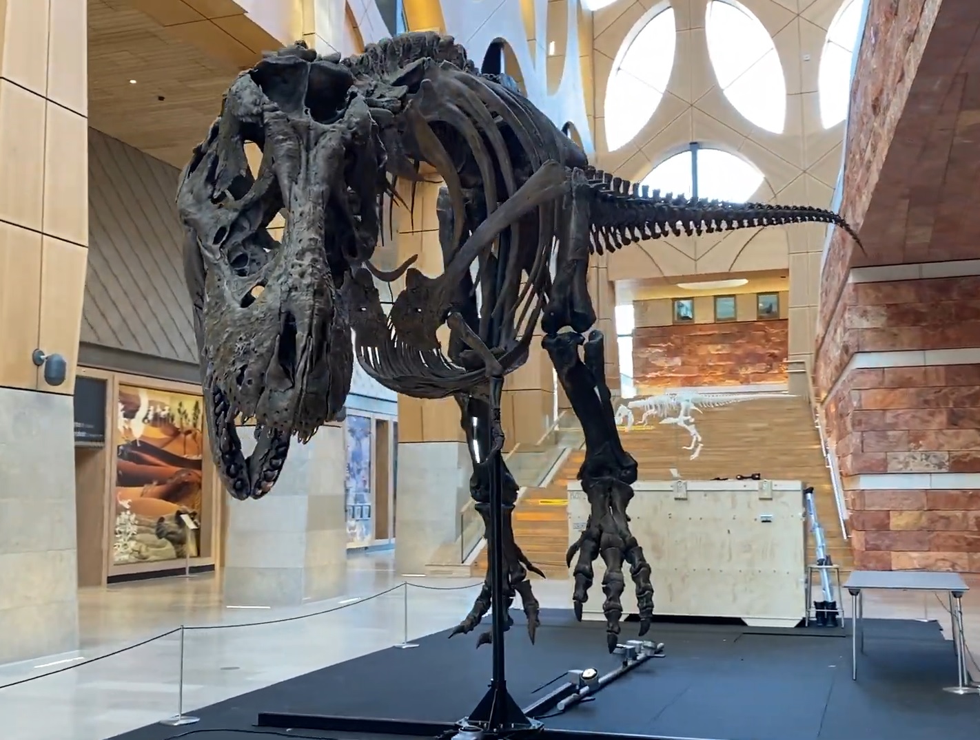 Óriás dinoszaurusz 3D nyomtatása a japán múzeum részére