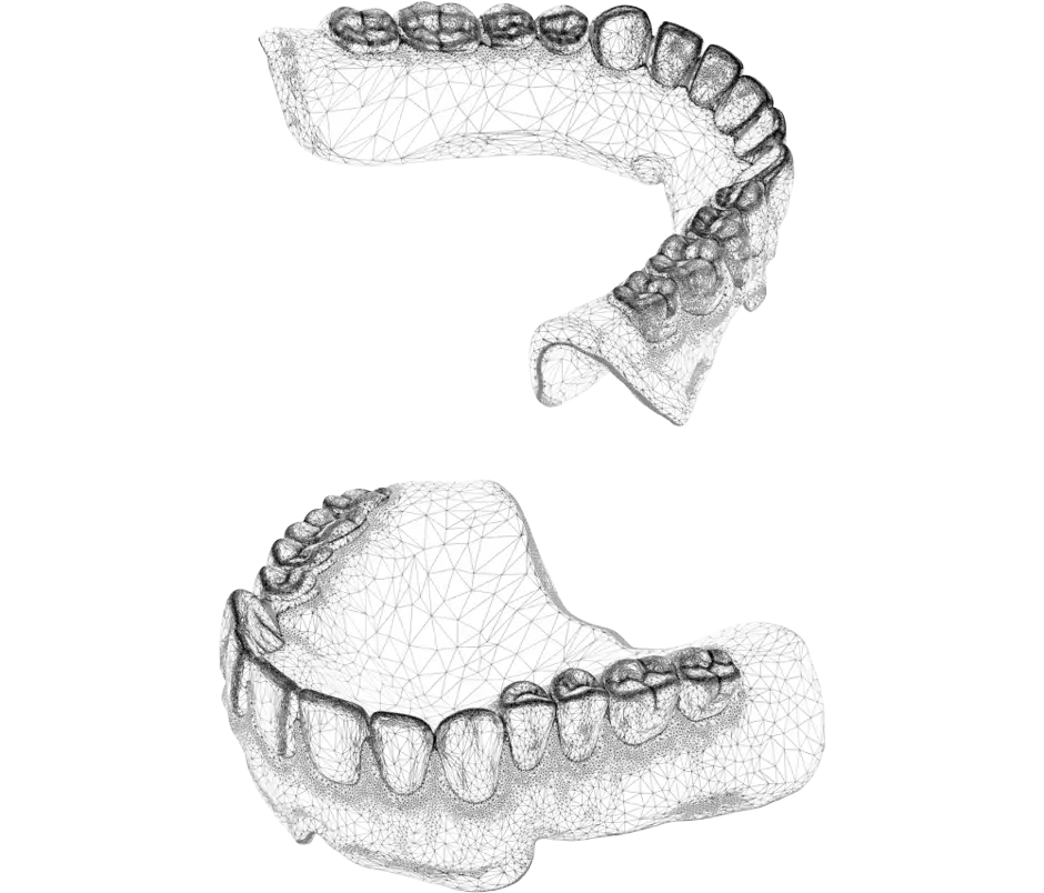 3D Systems NextDent 300