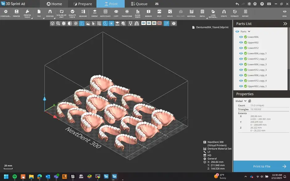 3D Systems NextDent 300